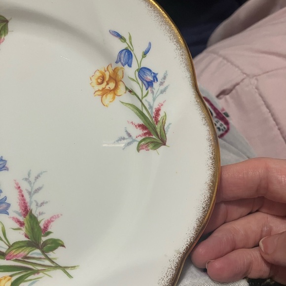 Vintage Salisbury Fine Bone China Floral 8" Plate England - Picture 9 of 15